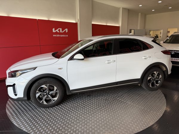 alquiler kia xceed